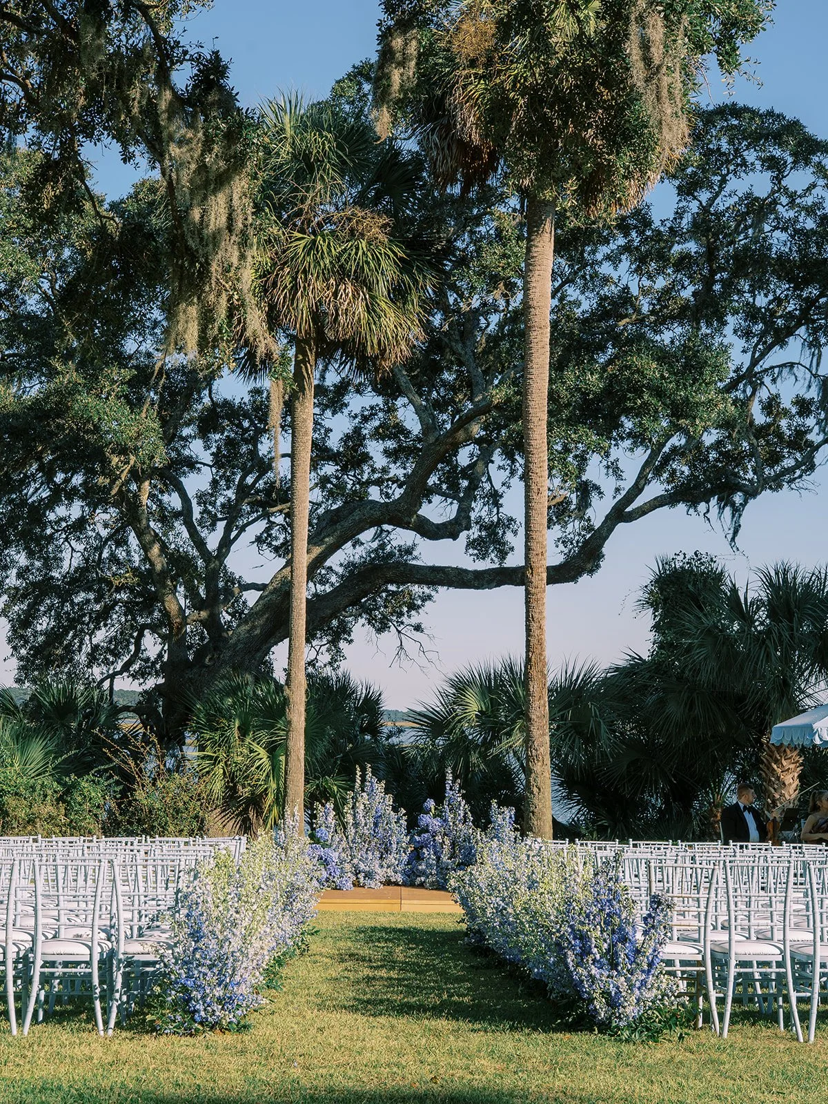 sneak0090_websize (1).jpg