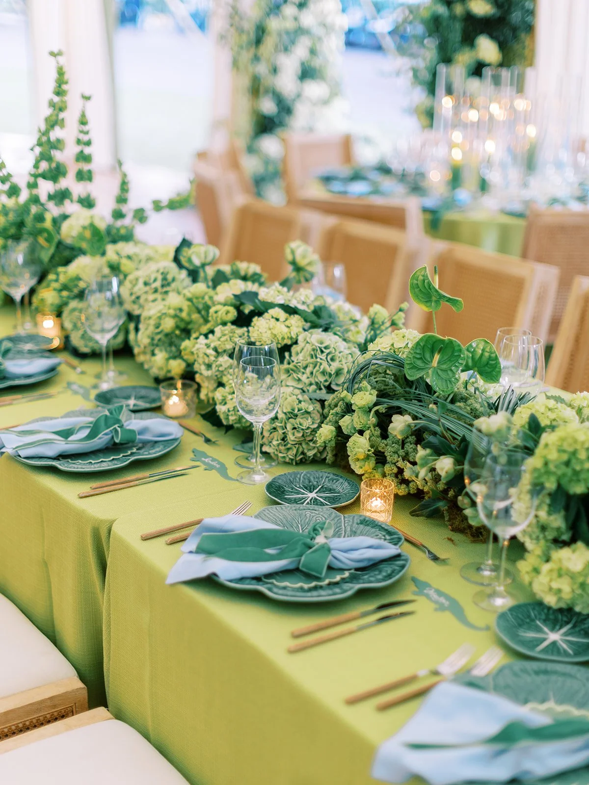 sneak0124_websize (1).jpg