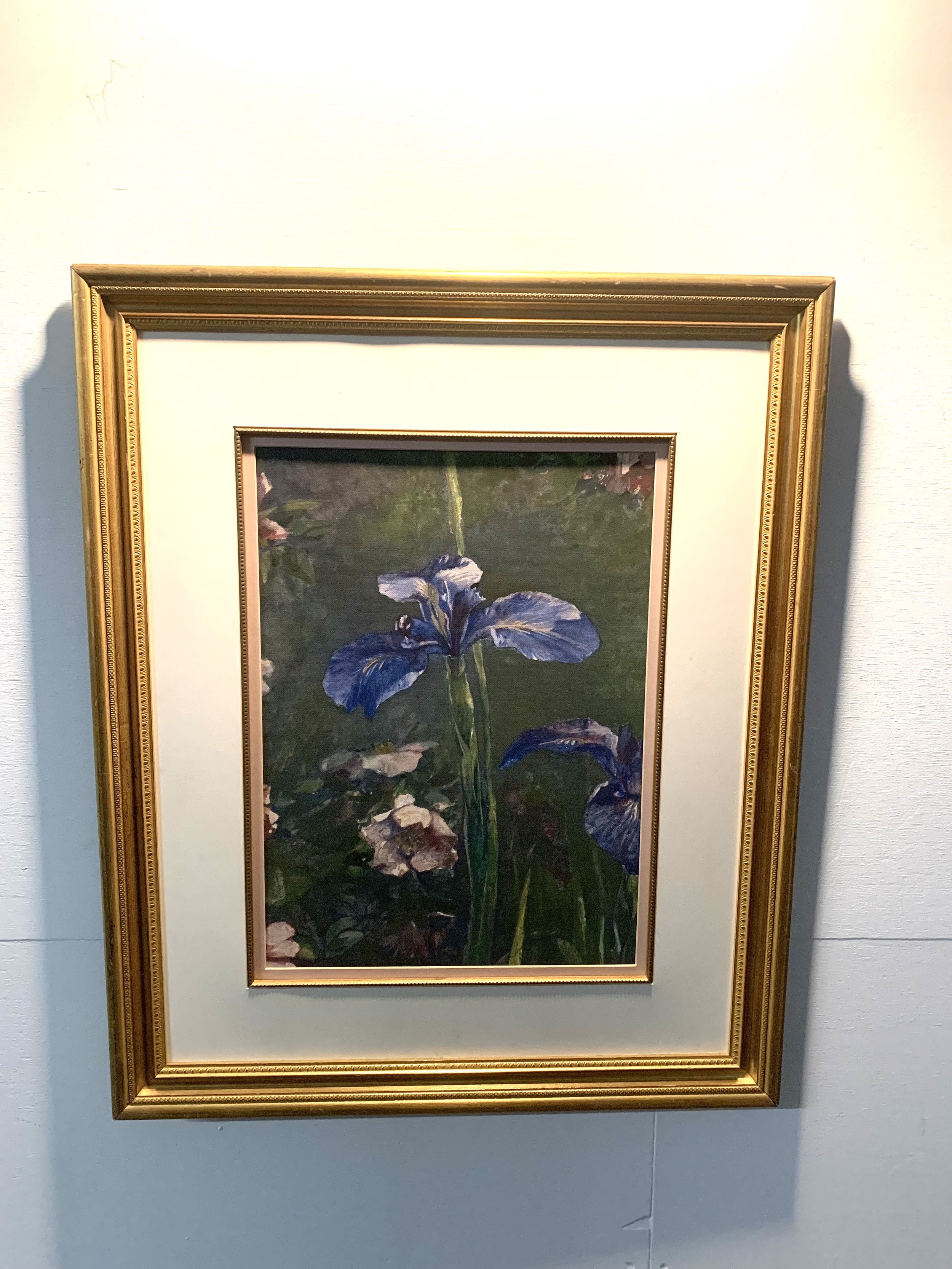 Wild Roses And Irises