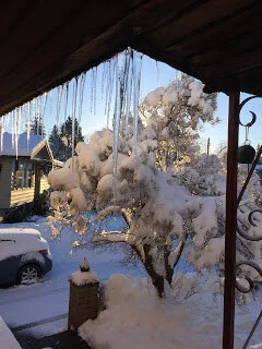 Icicles on the eaves and tracks in the snow