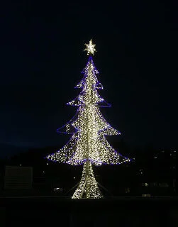 White Rock beach has a new Christmas tree