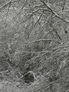 Snow conceals flaws, reveals a mysterious gateway