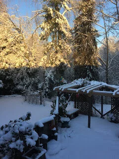 Shifting moods of snow as morning light grows stronger