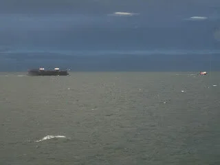 Tiny tug pulls enormous load of logs and ferry rescues canoeists