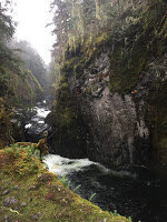 Englishman River Falls above Qualicum Beach