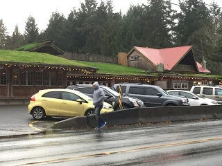 Goats absent from the roof at this time