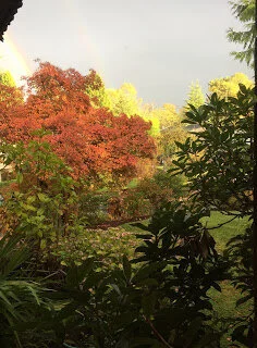 Joys of autumn sky and leaf light