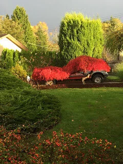 Camouflage truck