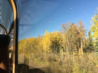 Autumn colour begins in the Rockies