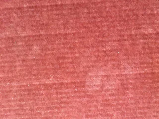 Paw tracks on velvet