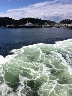 Coastal Celebration pulls long wake, stirs up water at the dock