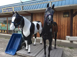 Country living in Cloverdale