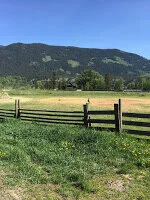 Idyllic hilltop lamb farm and B & B