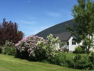 Lilac-laden Vavenby and Birch Island