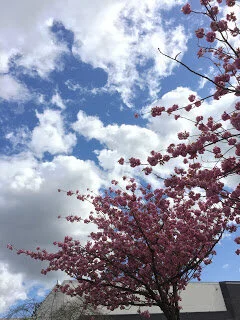 The simple joys of sky and earth