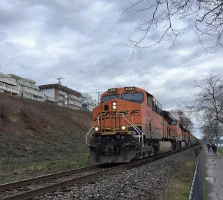 Where once were mature trees