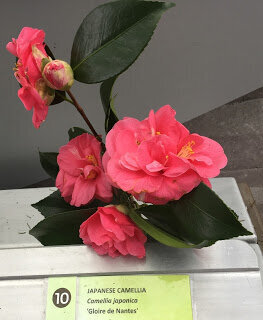 Winter turns to spring in Van Dusen