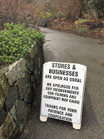 Filming in the wet garden