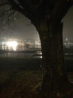Floodlit waters of English Bay at night