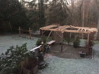 Delicate sifting of snow