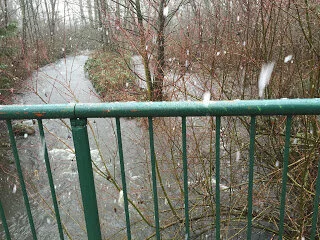 A skiff of snow and a swollen creek