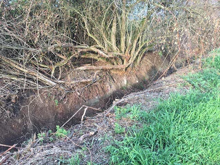 Serpentine ditch bottoms seen for the first time ever