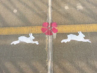 Rabbits and Roses