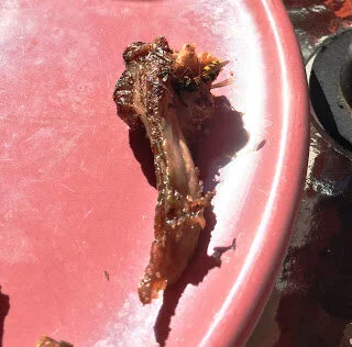 Wasps, lamb leftovers and fig pollination