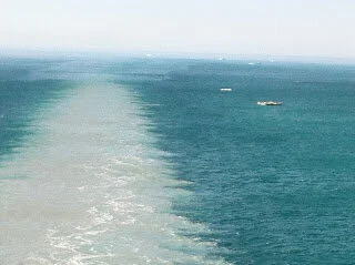 The wake does not drive the ship