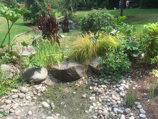 Dry weather parches park ponds