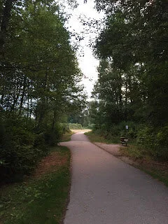 The magic of a woodland path