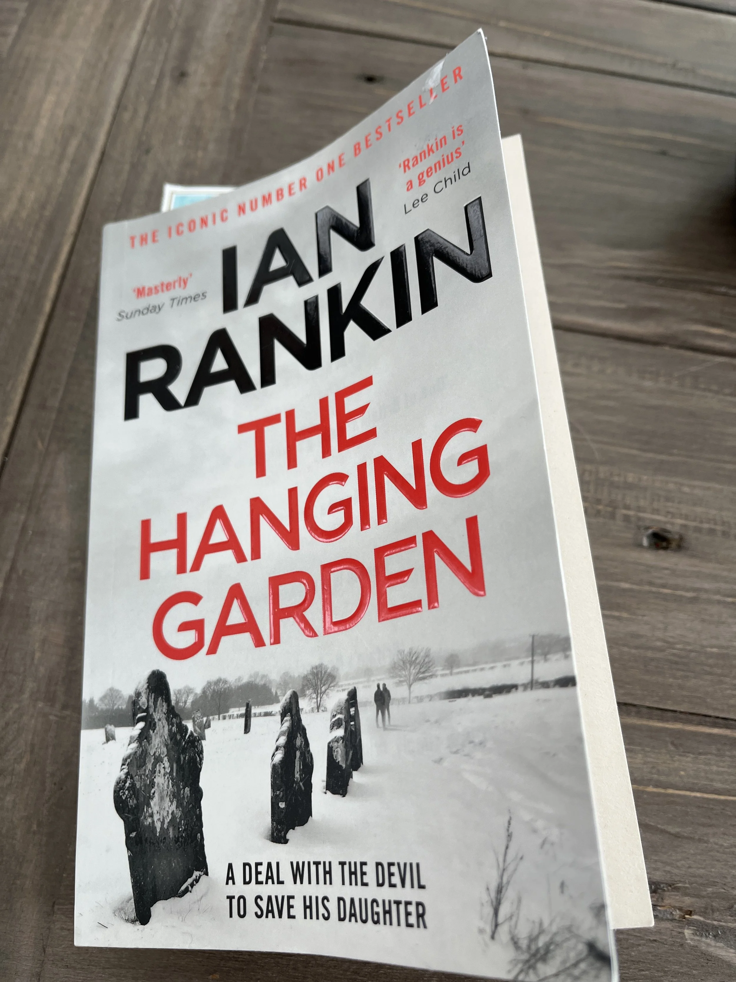 The Hanging Garden by Ian Rankin