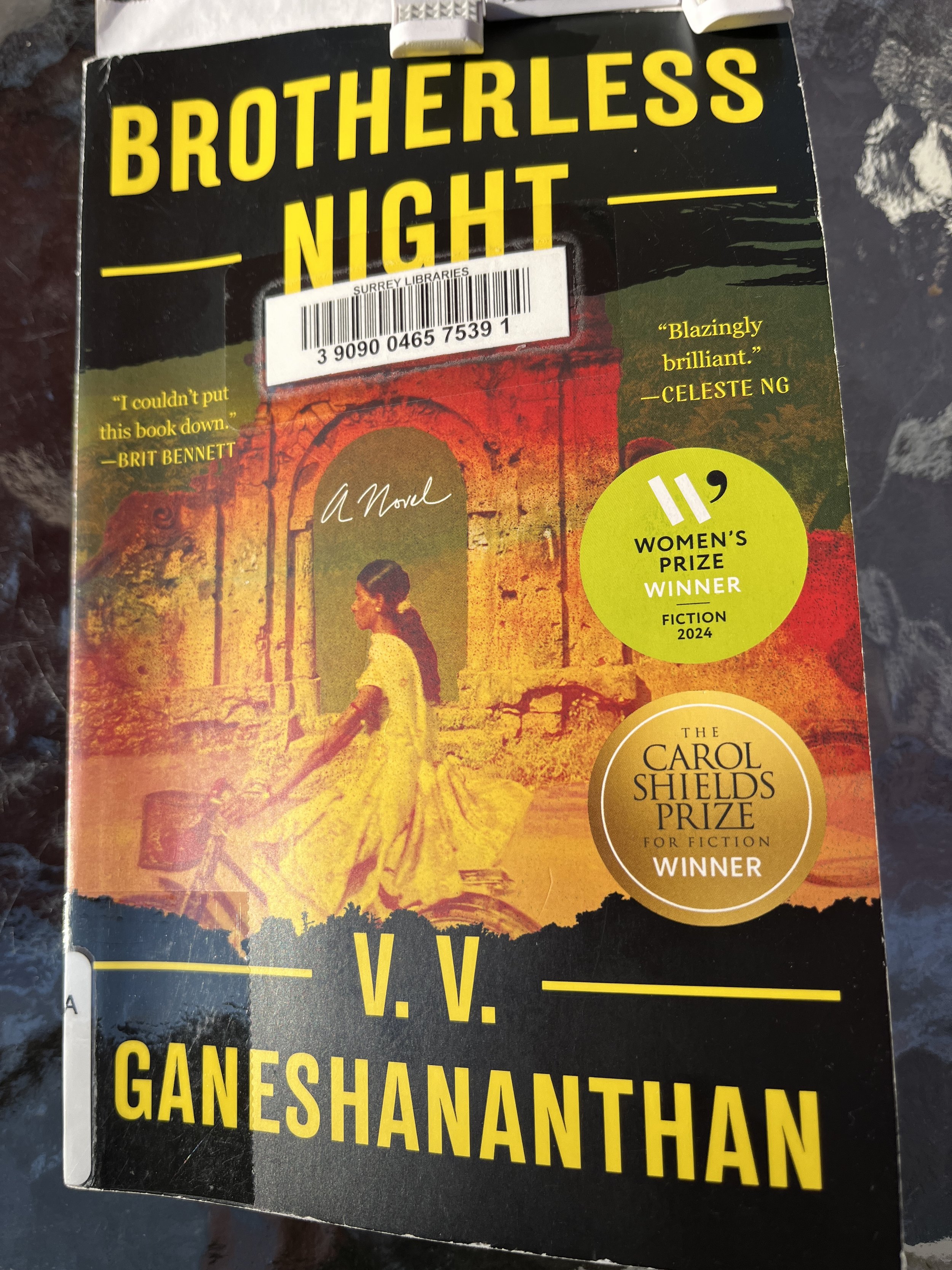 Brotherless Night by VV Ganeshananthan