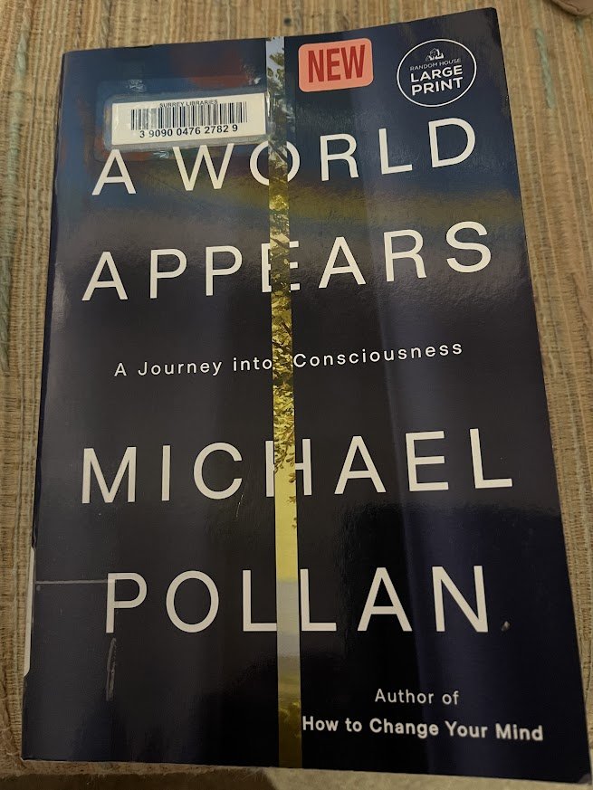 A World Appears by Michael Pollin