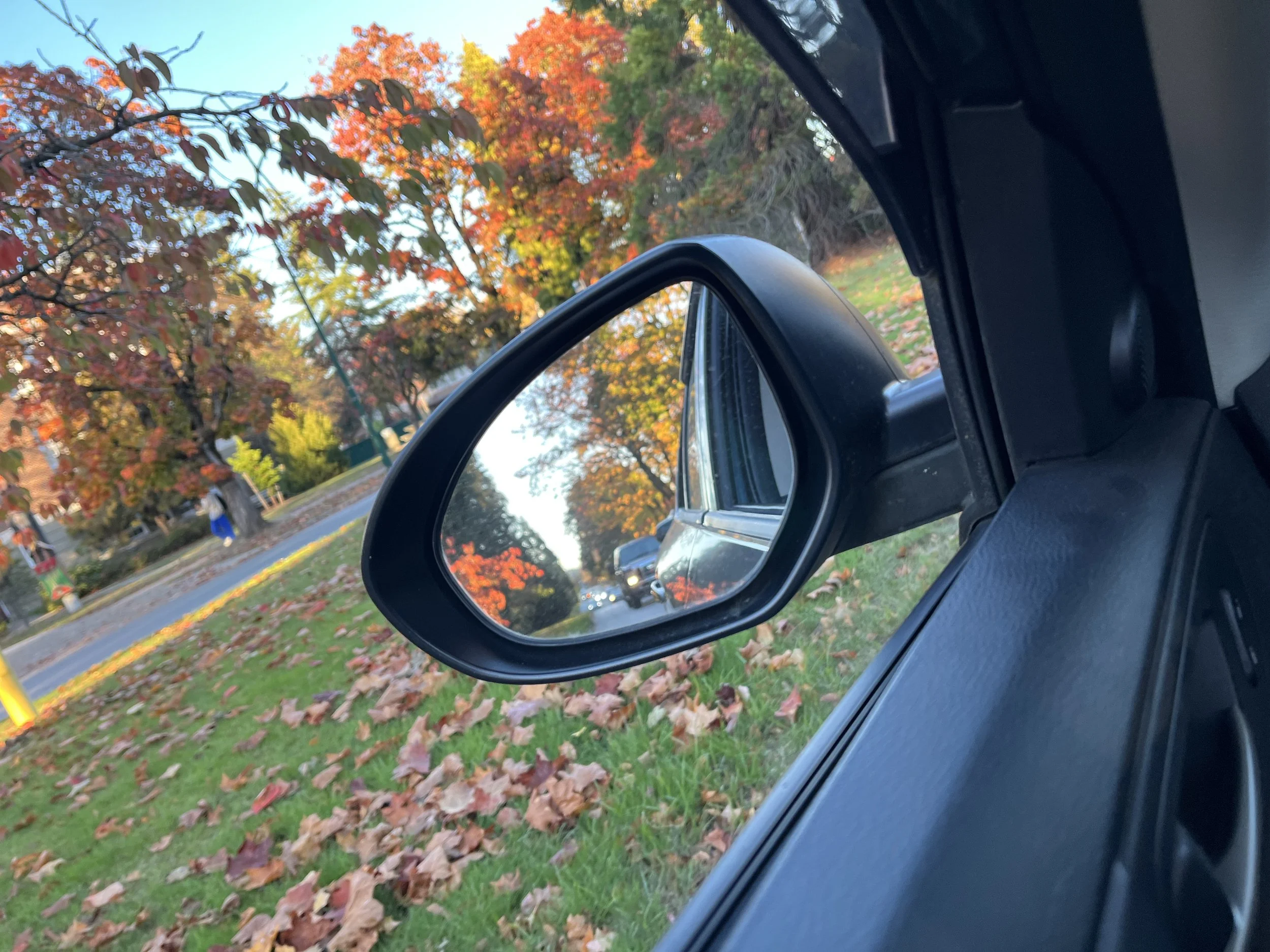 Iconic Vancouver autumn views