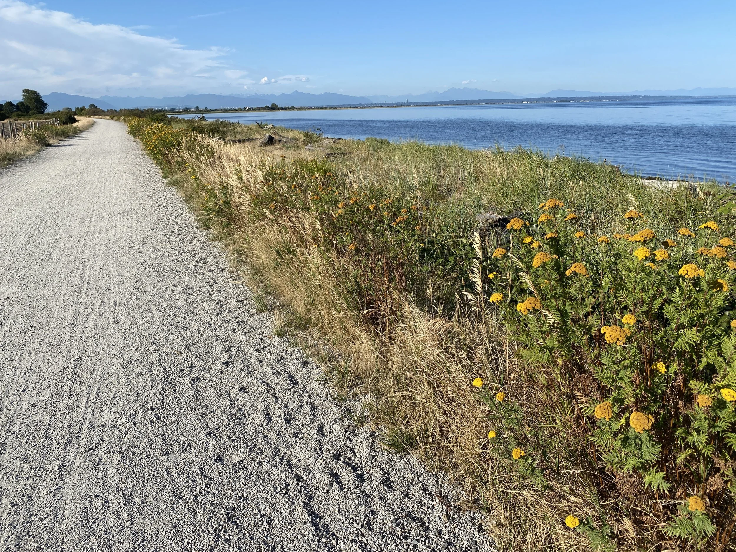 Tsawwassen