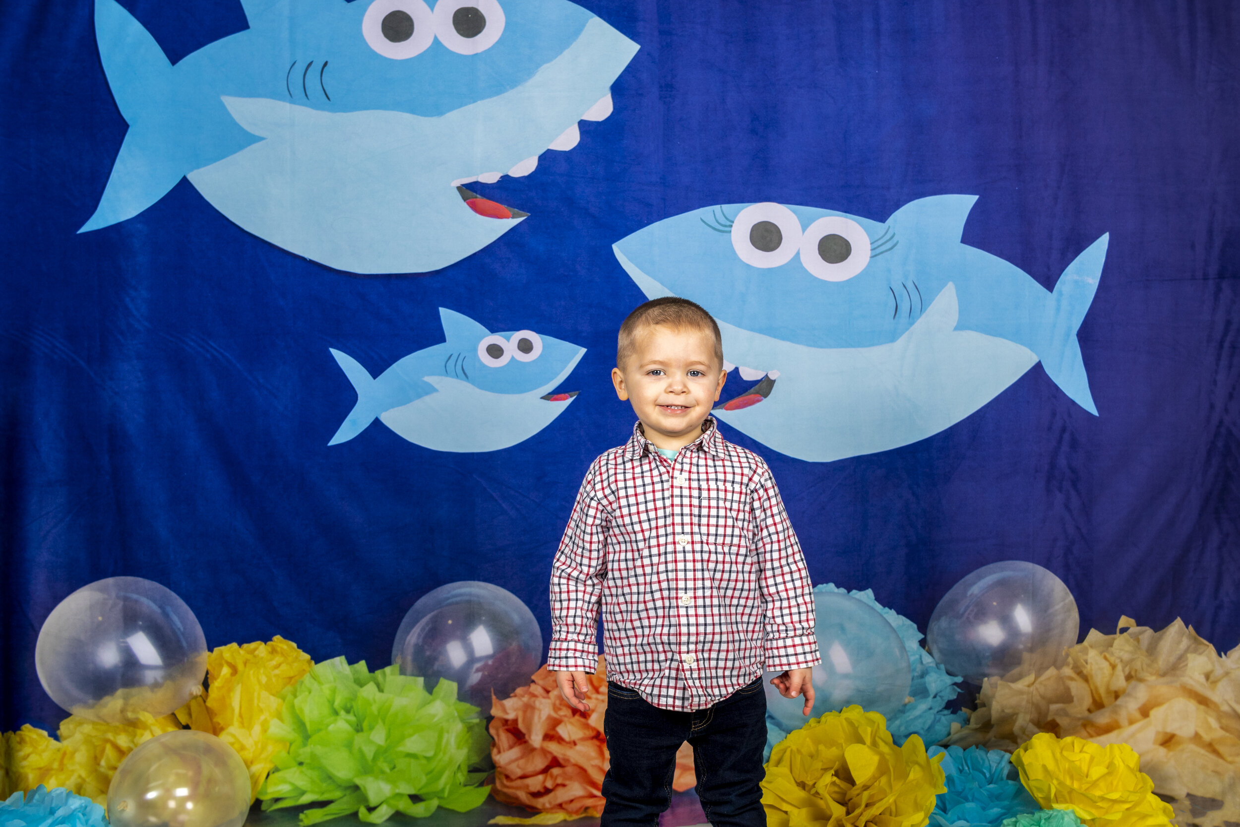 Shark Birthday