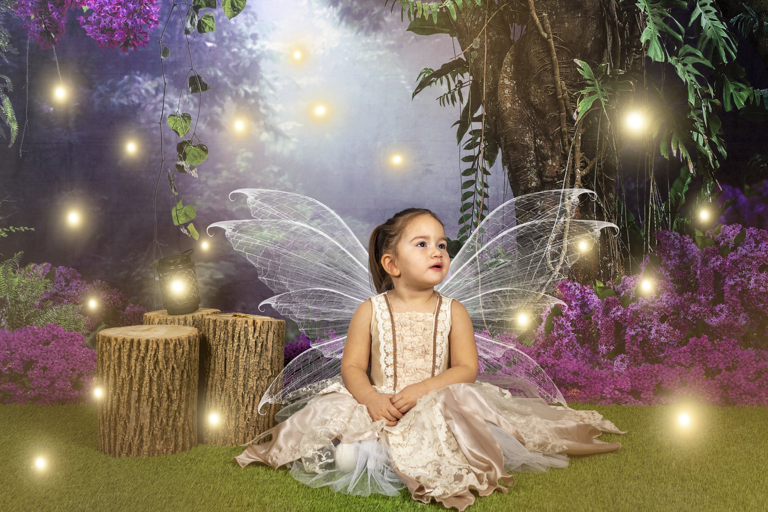 Amethyst Forest