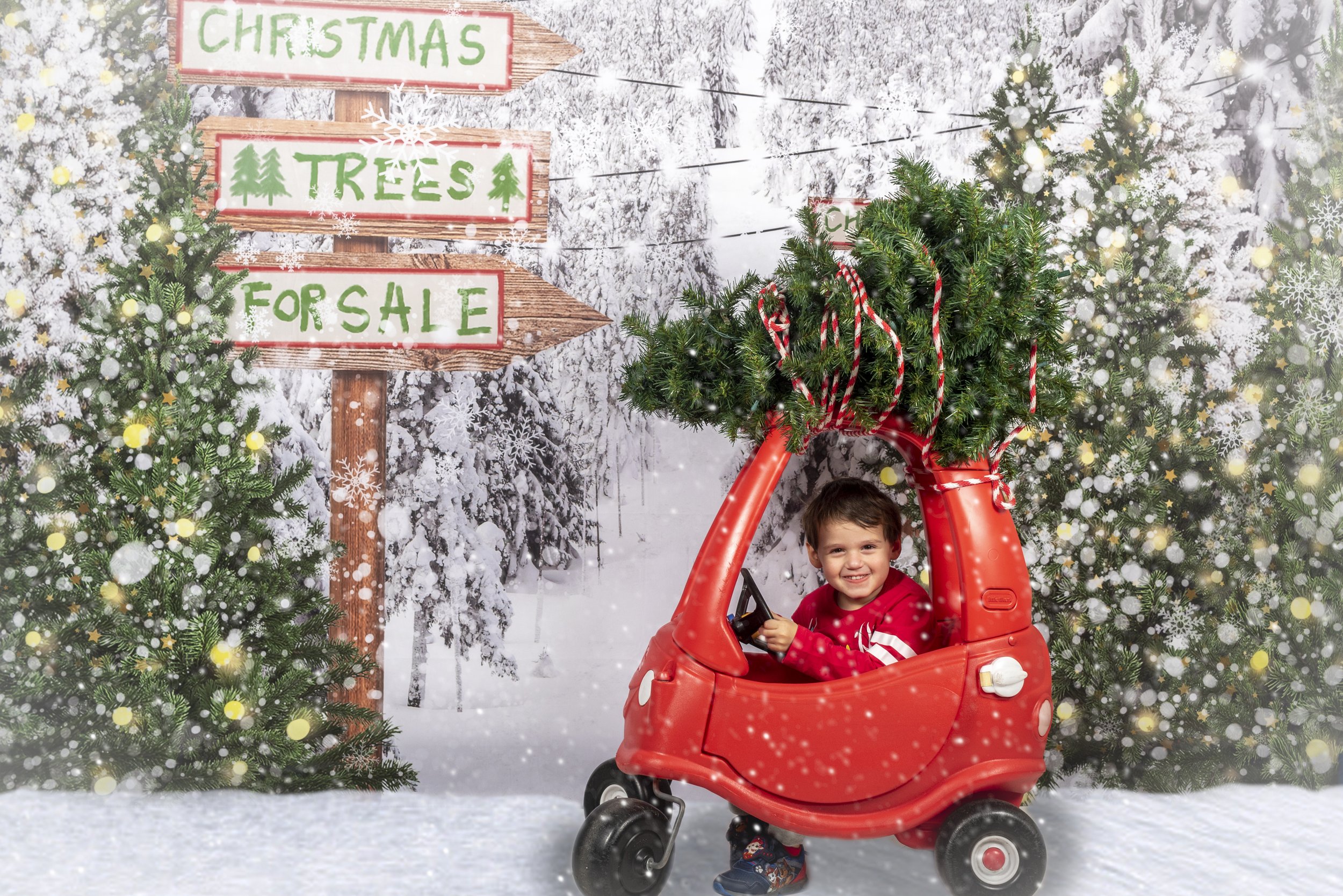 Christmas Tree Farm
