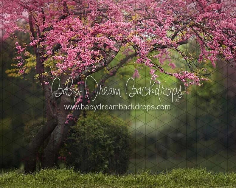 Spring Tree