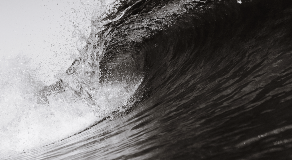 Why we need to protect our ocean... and why we need to do it now