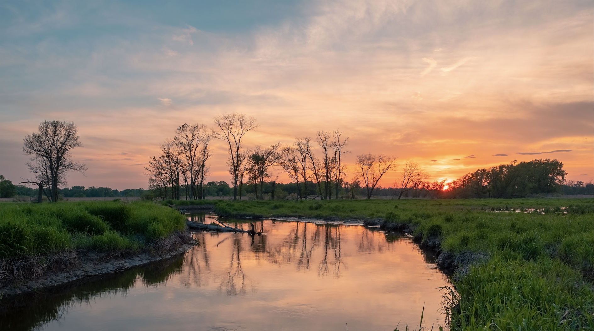 How the Fashion Industry is Killing our Wetlands