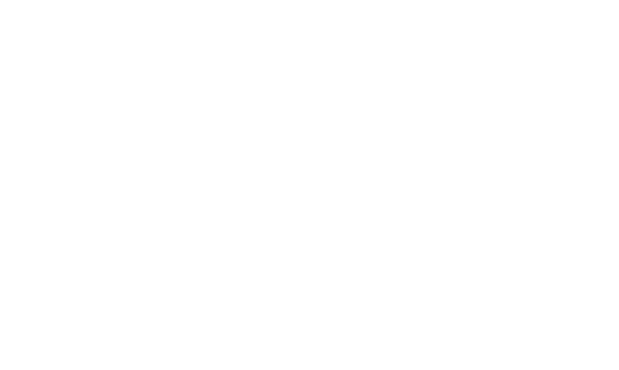 Kron Gracie Academy logo