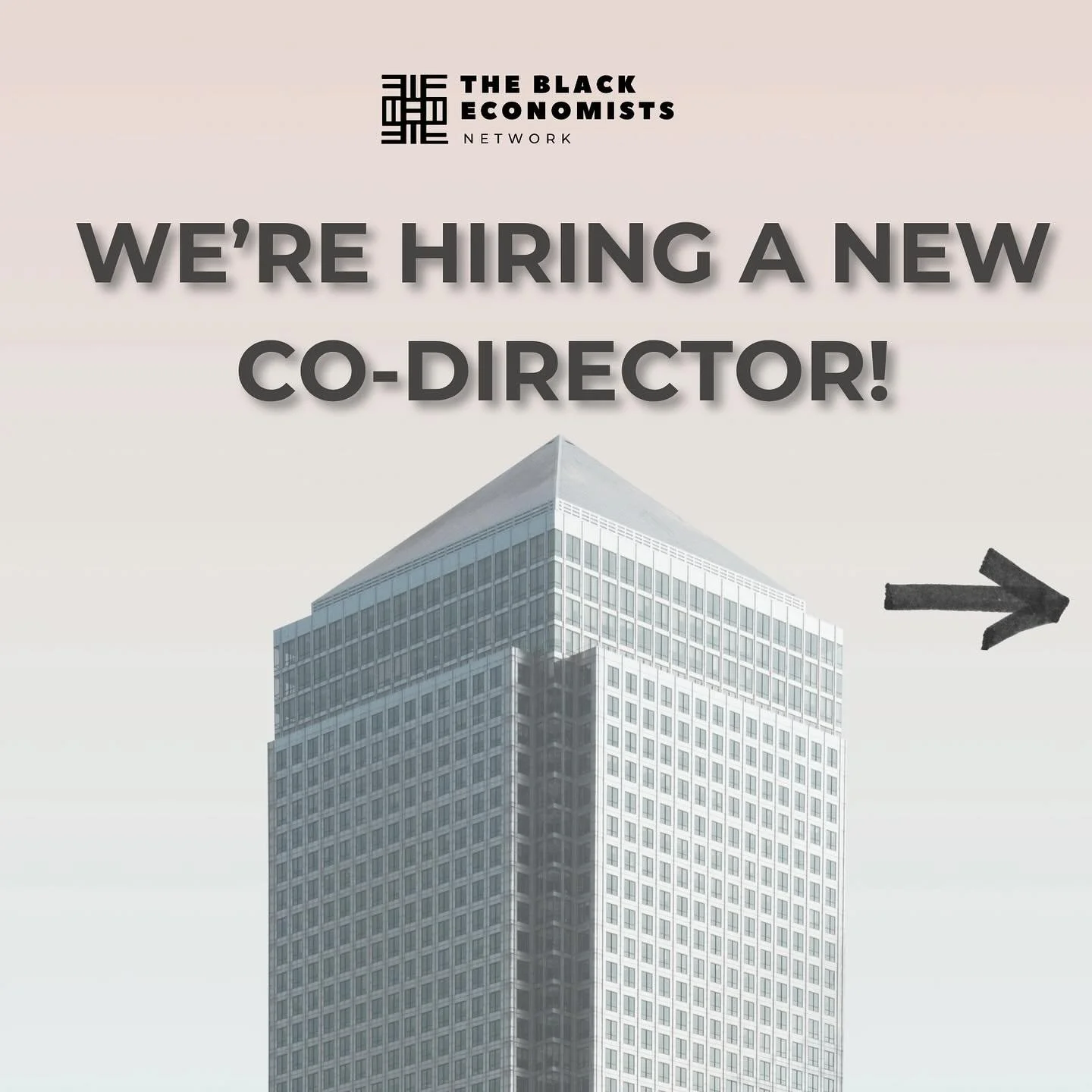 Do you care about equity and Black representation in economics? 
Do you want to create community-driven impact? 
Then this is for you. 

🌟 We&rsquo;re Hiring a Co-Director! 🌟
 The Black Economists Network (TBEN) is growing&mdash;and we're thrilled 