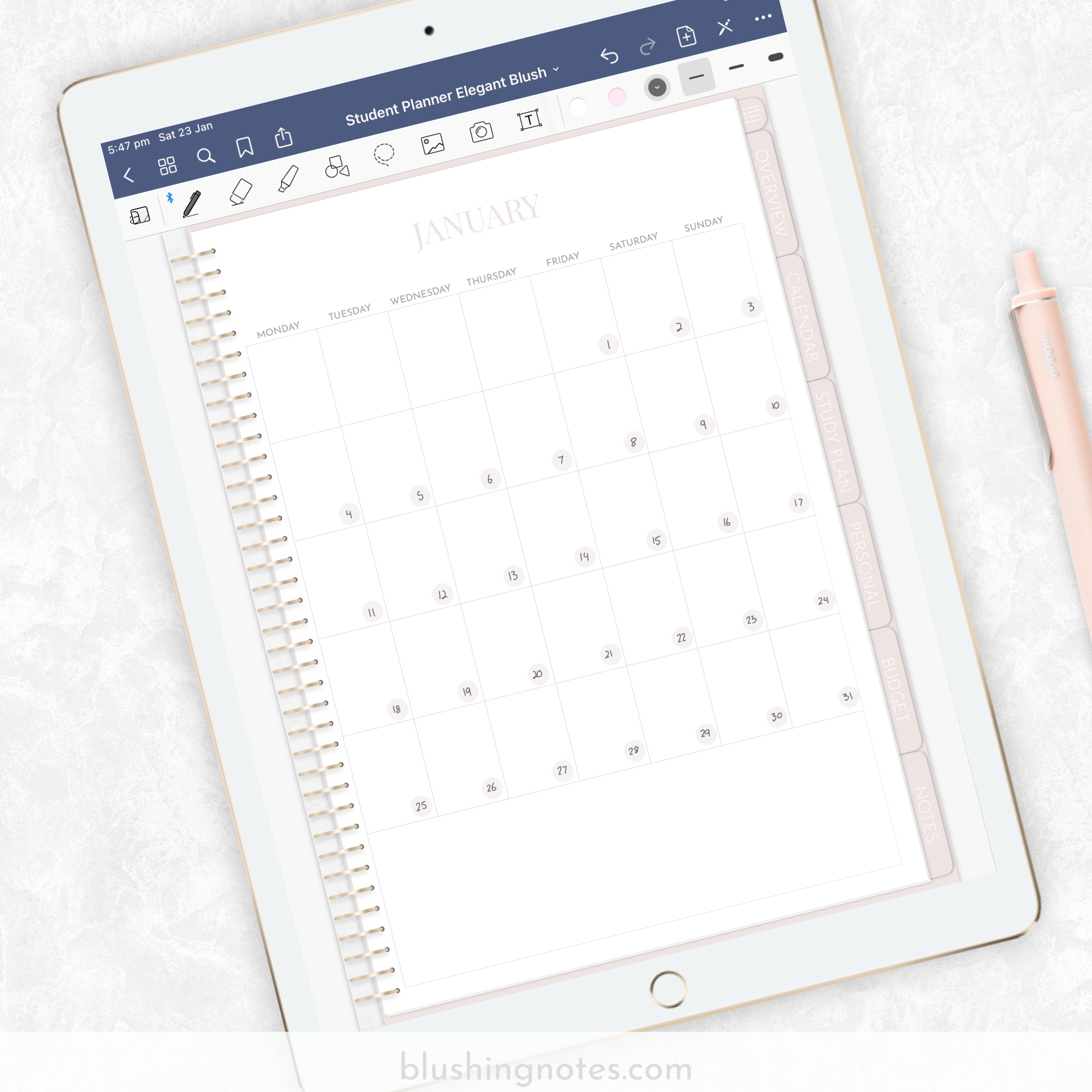 How I plan my month using GoodNotes 5 — Blushing Notes