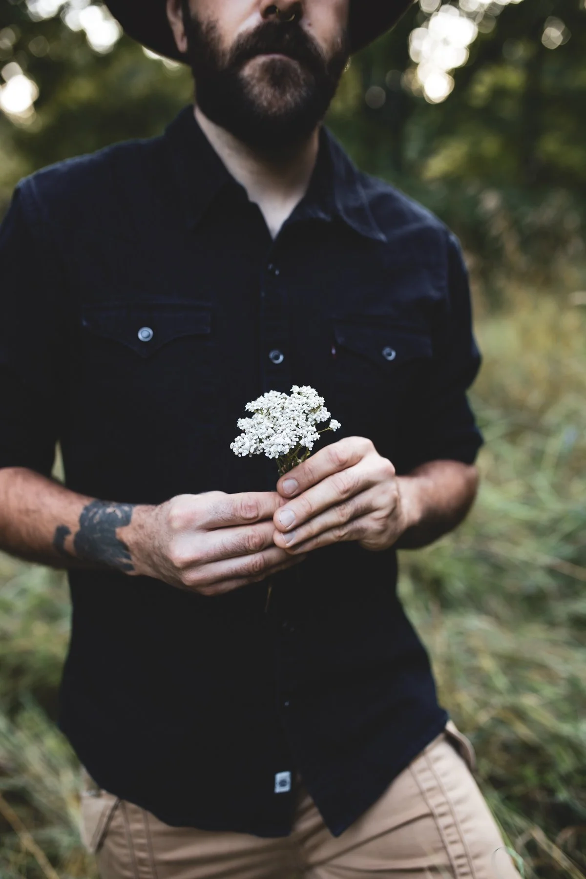 Yarrow 01.jpg