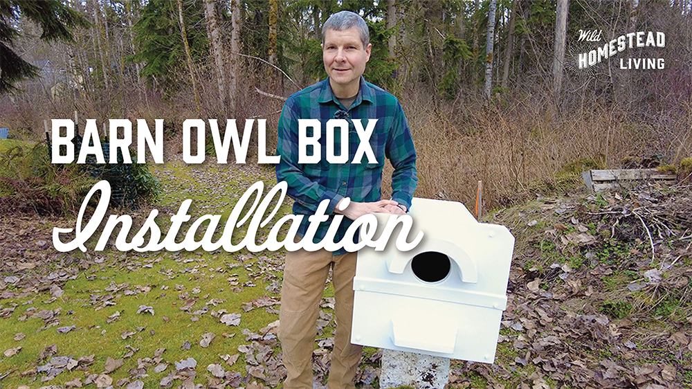 Wild Homestead Living— (VIDEO) Barn Owl Box Installation