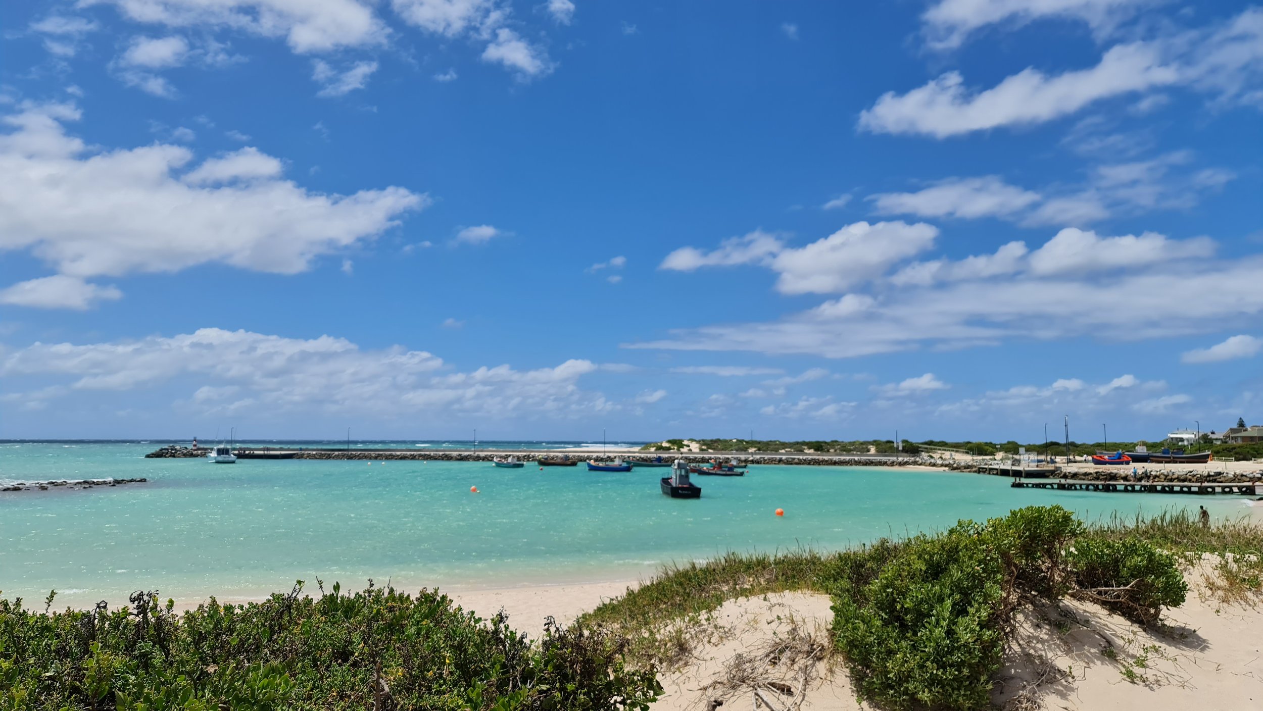 Whale Watching in Struisbaai and Cape Agulhas: A Land-Based Guide