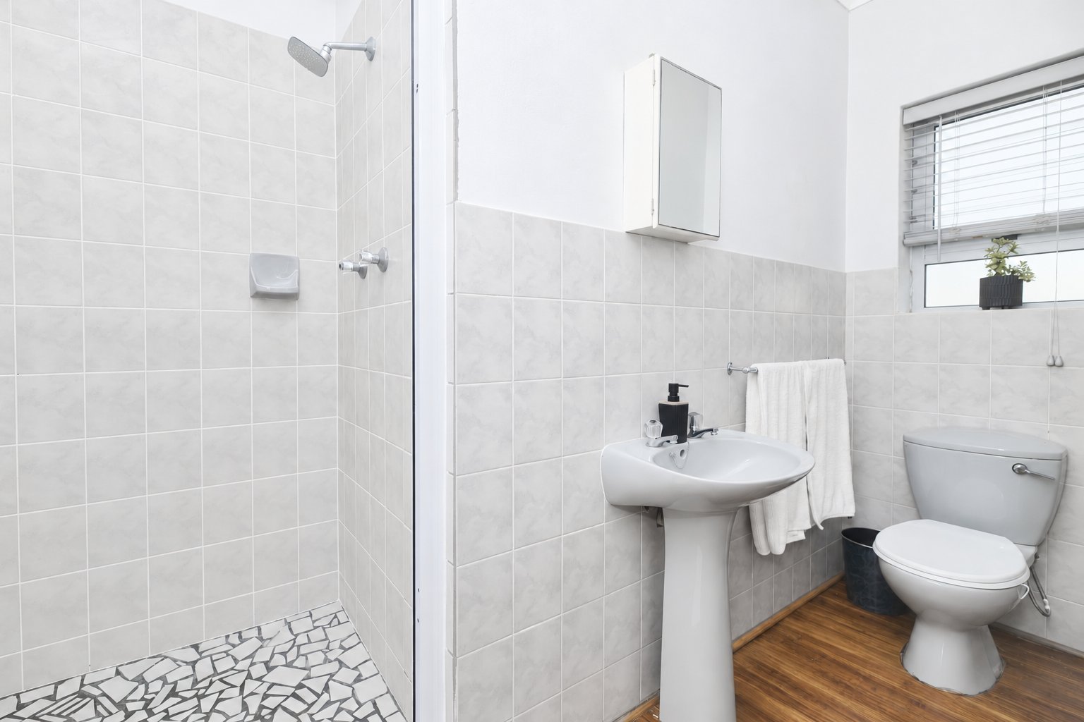 20-suikerbos-house-struisbaai-shower-bathroom.jpg