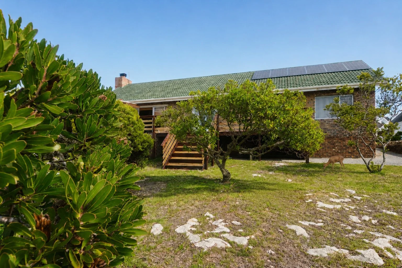 19-suikerbos-house-struisbaai-natural-garden.jpg